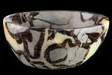 Polished Septarian Bowl - Madagascar #160470-1